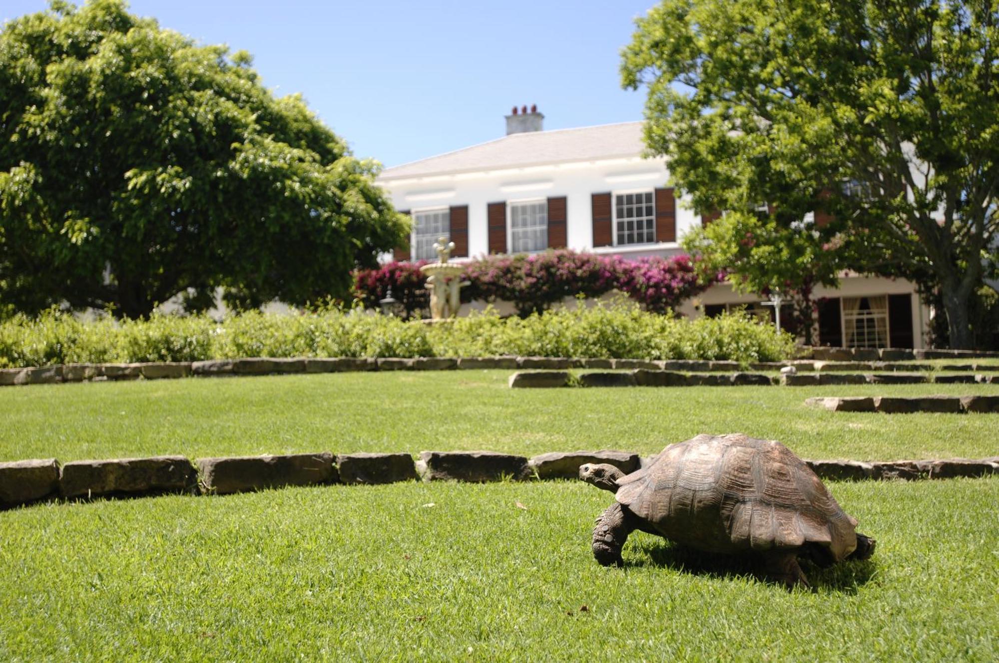 Vineyard Hotel Cape Town Exterior photo