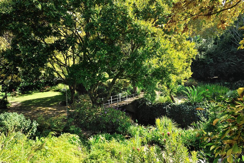 Vineyard Hotel Cape Town Exterior photo